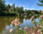 Der Finsterroter See ist ein tolles Ausflugsziel im Schwaebisch Fraenkischen Wald