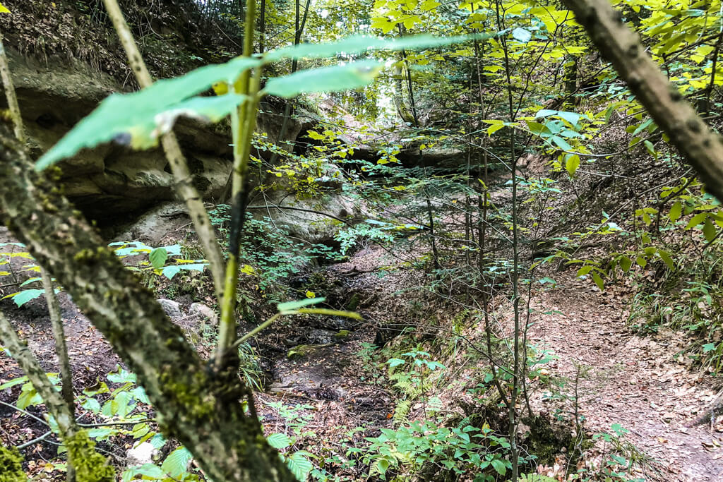 Auf dem Fuxi Pfad wandern wir in die Olgaschlucht