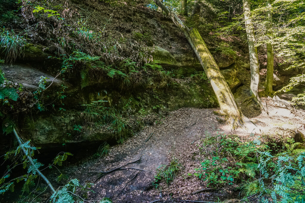 Auf dem Fuxi Pfad wandern wir in die Olgaschlucht