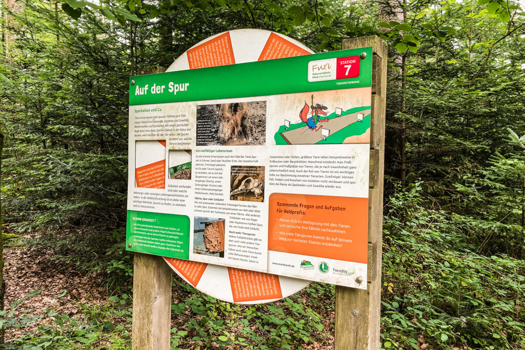 Spurensuche auf dem Fuxi Pfad im Schwaebischen Wald