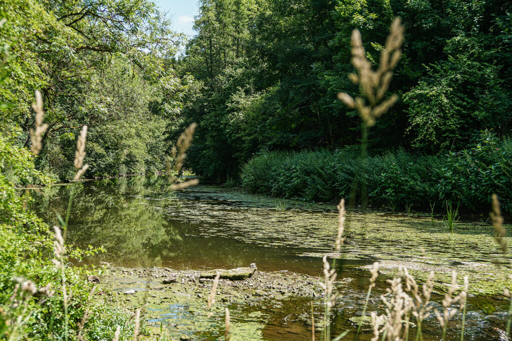 Hier muendet die Gronach in die Jagst