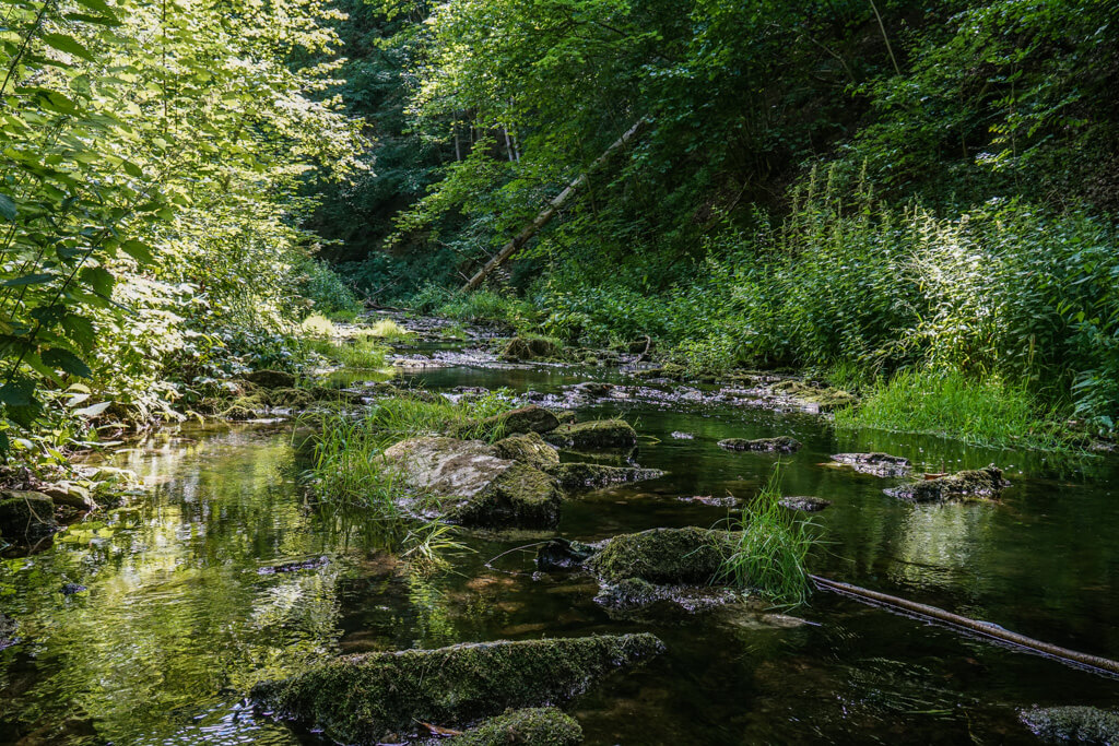 Die Gronach ist ein Zufluss der Jagst