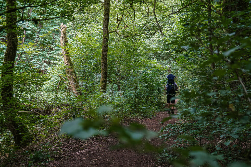 Toller Wanderweg durch das Gronachtal bei der Hammerschmiede Groeningen