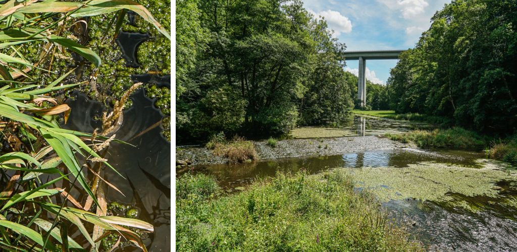 Heinzenmuehle beim Wandern durch das Gronachtal und Jagsttal