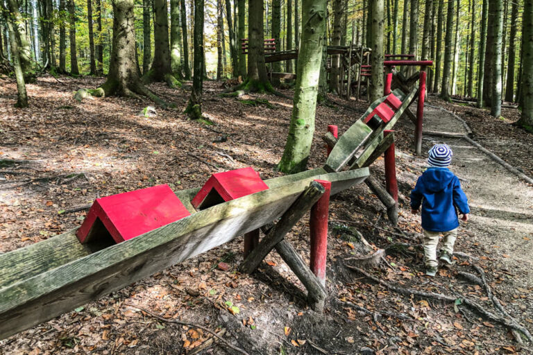 Eins + Alles Welzheim Ausflug ins Erfahrungsfeld der Sinne