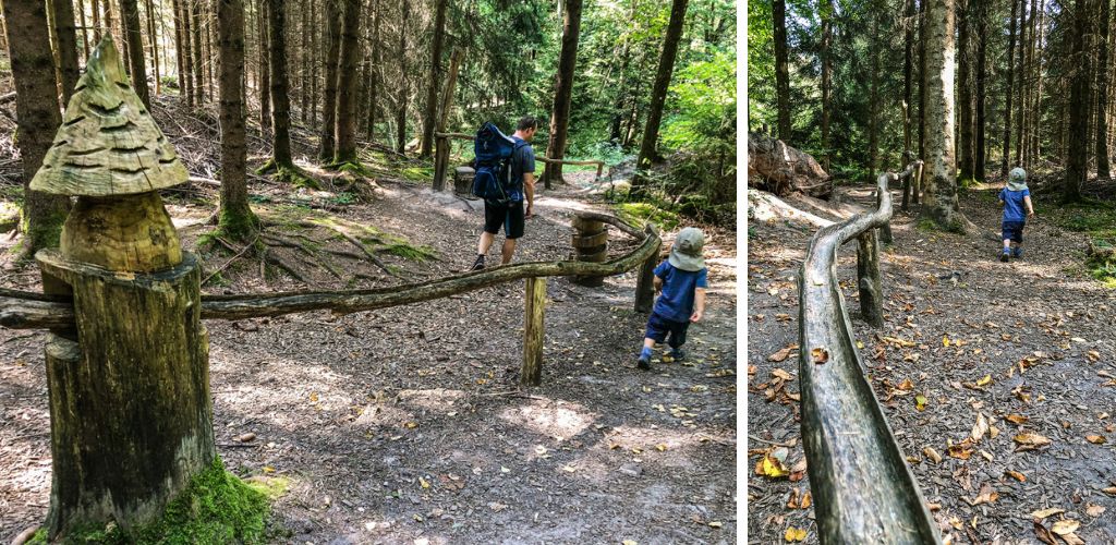 Kugelbahn auf dem Walderlebnispfad Gschwend im Schwaebischen Wald