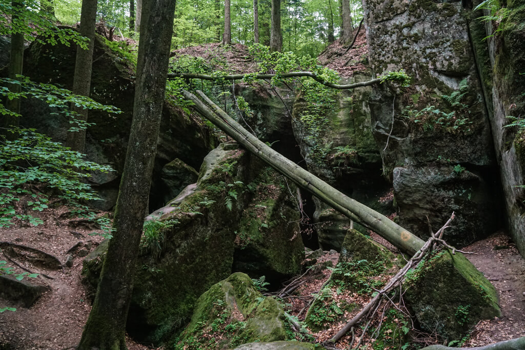 Felsformationen in der Brunnenklinge