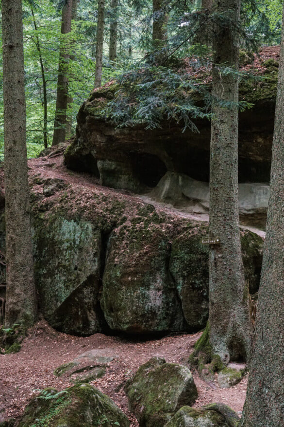 Felsen in der Brunnenklinge im Schwaebischen Wald