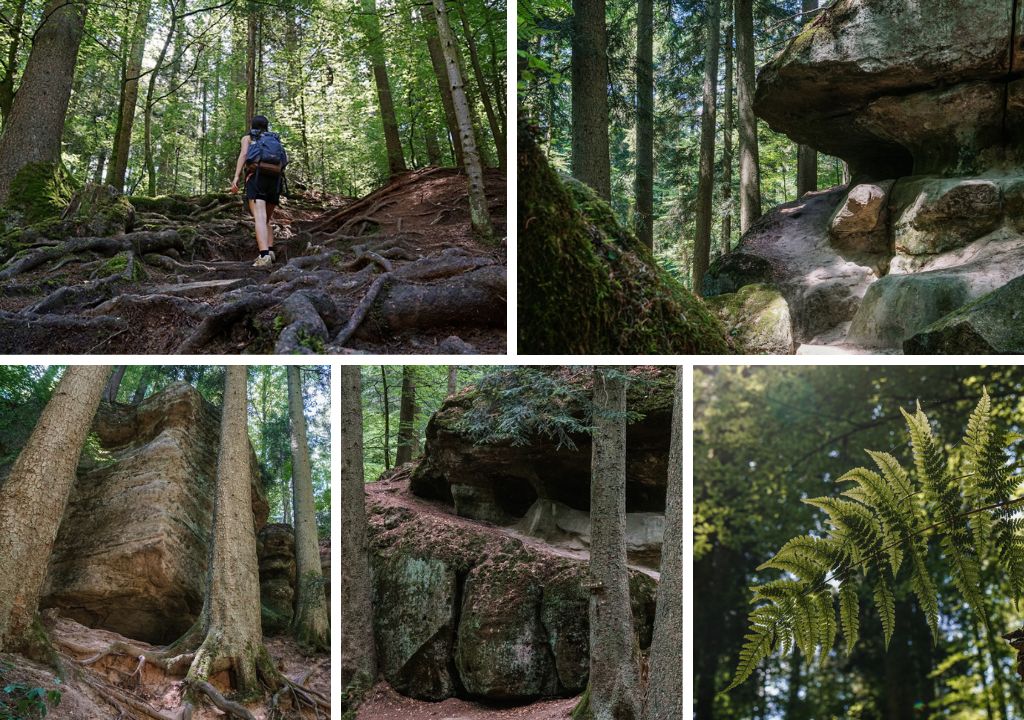 Fotos Haegelesklinge und Brunnenklinge im Schwaebischen Wald