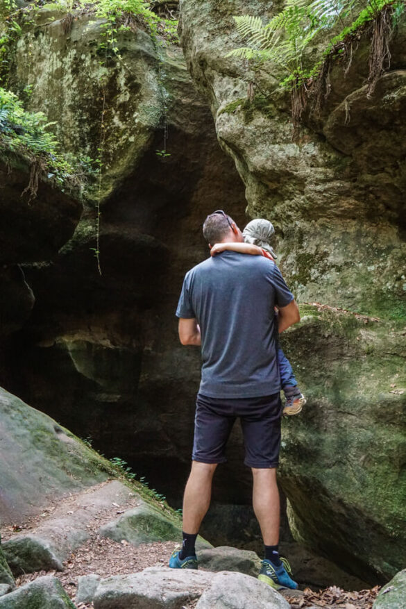 Hoehle in der Brunnenklinge im Schwaebischen Wald