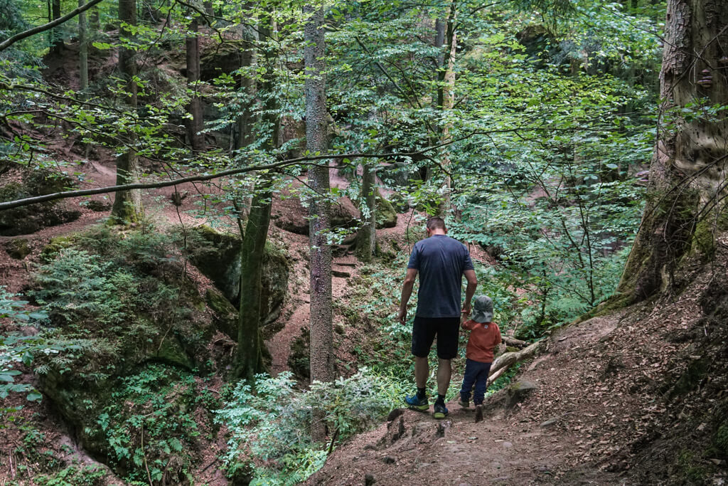 Rundweg durch die Haegelesklinge und Brunnenklinge