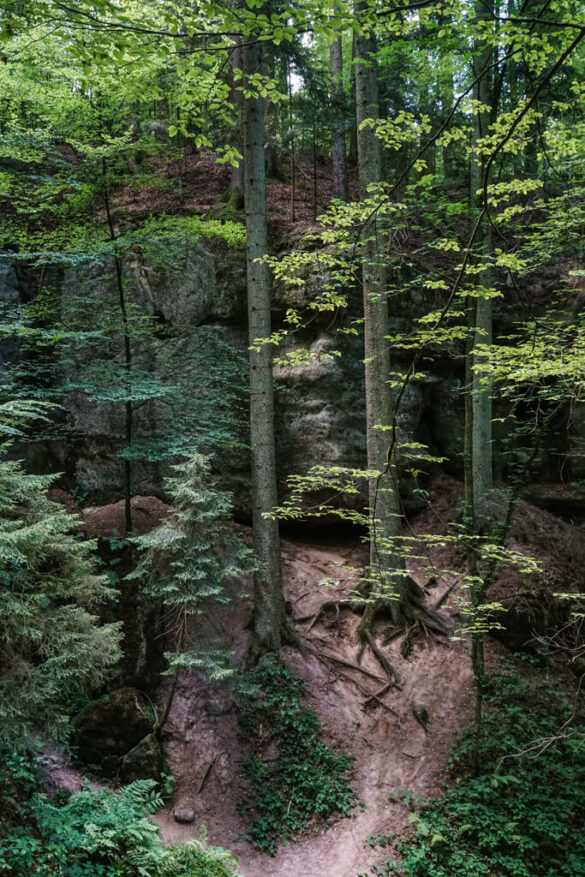 Haegelesklinge Schwaebischer Wald