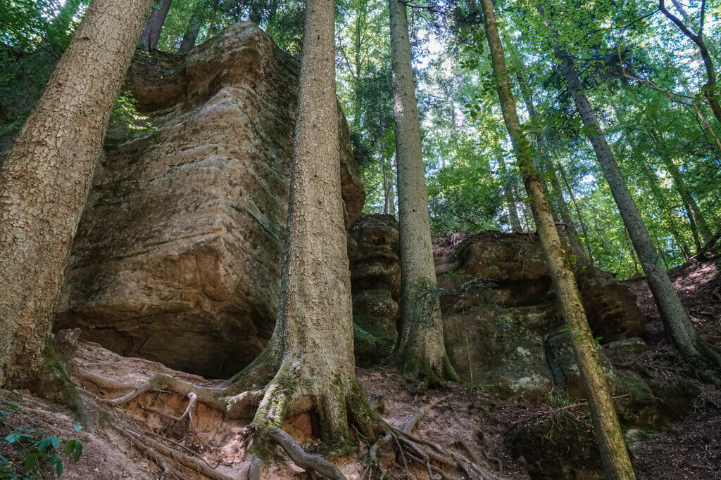 Sandsteinfelsen in der Haegelesklinge