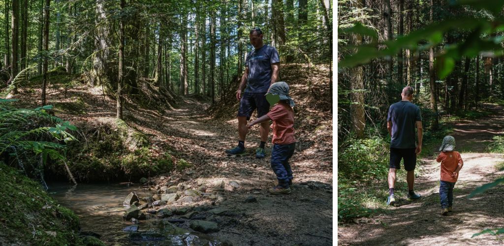 Im Wald auf der Rundwanderung durch die Haegelsklinge und Brunnenklinge